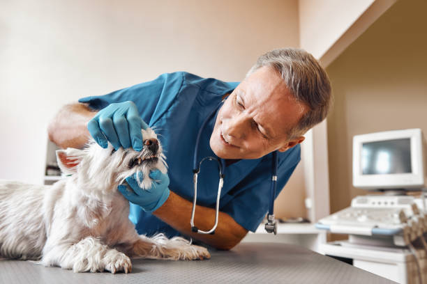 Best Broken Tooth Emergency  in Mcgehee, AR